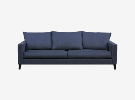 Branded Furniture double sitter sofa